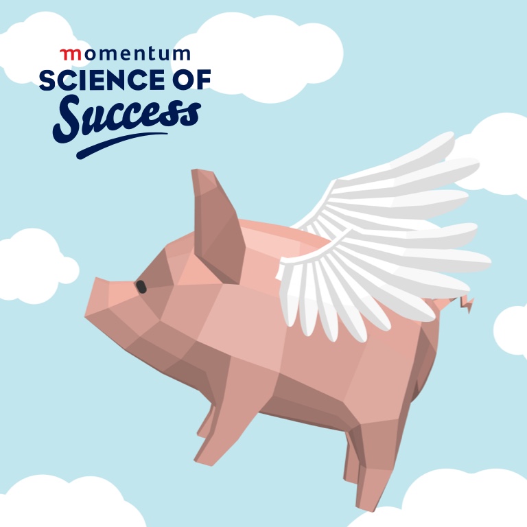 Pigs flying in Sandton in anticipation of the Momentum Science of Success Festival on 25 November 2022.