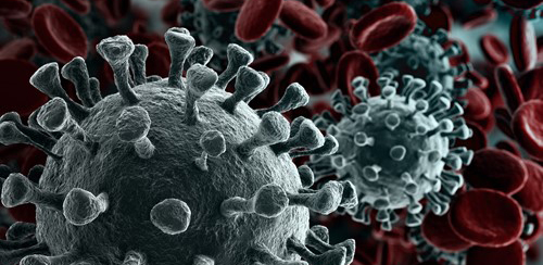 A virus spreading and taking over the body's bloodstream and cells.