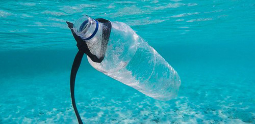 A transparent plastic water bottle with a black rope around its mouth, floating under water in the ocean.